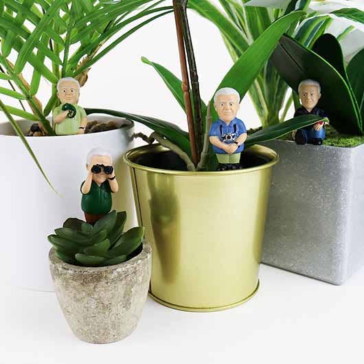 Mindful Moments Collection